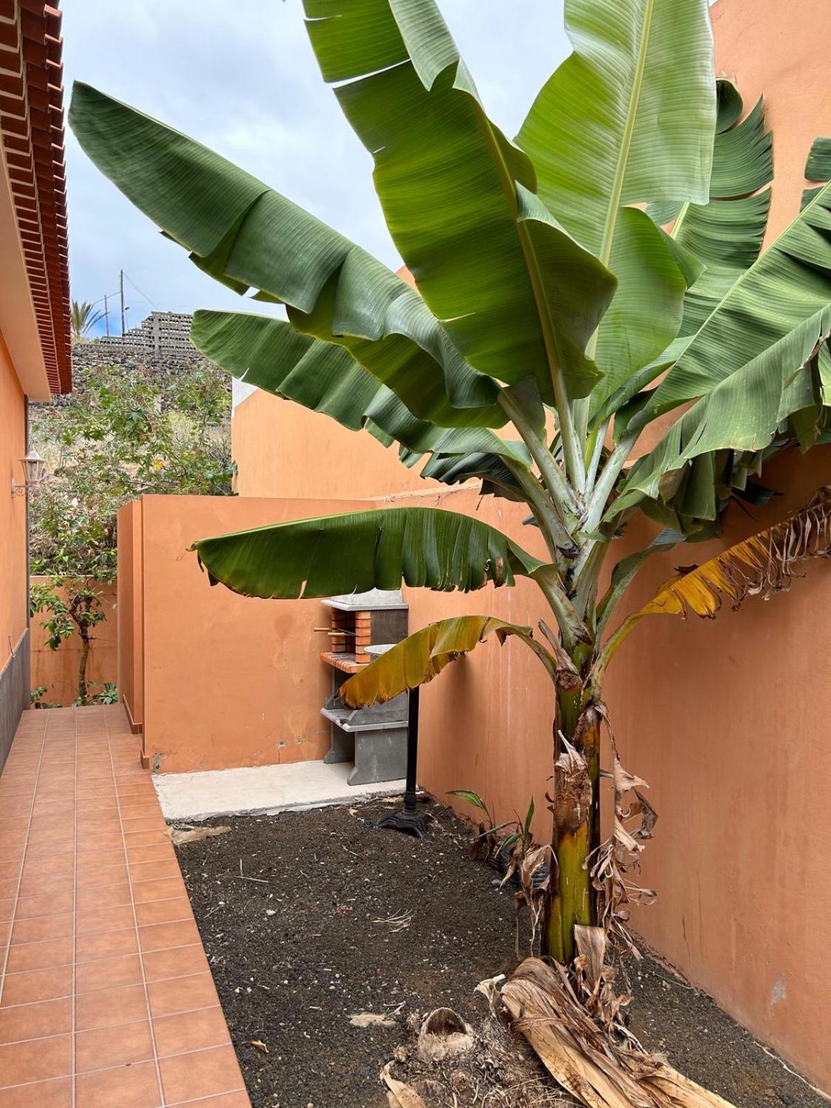 Caleta de Interián Chalet Piscina Privada Max 26º Jardin, Tranquilidad מראה חיצוני תמונה