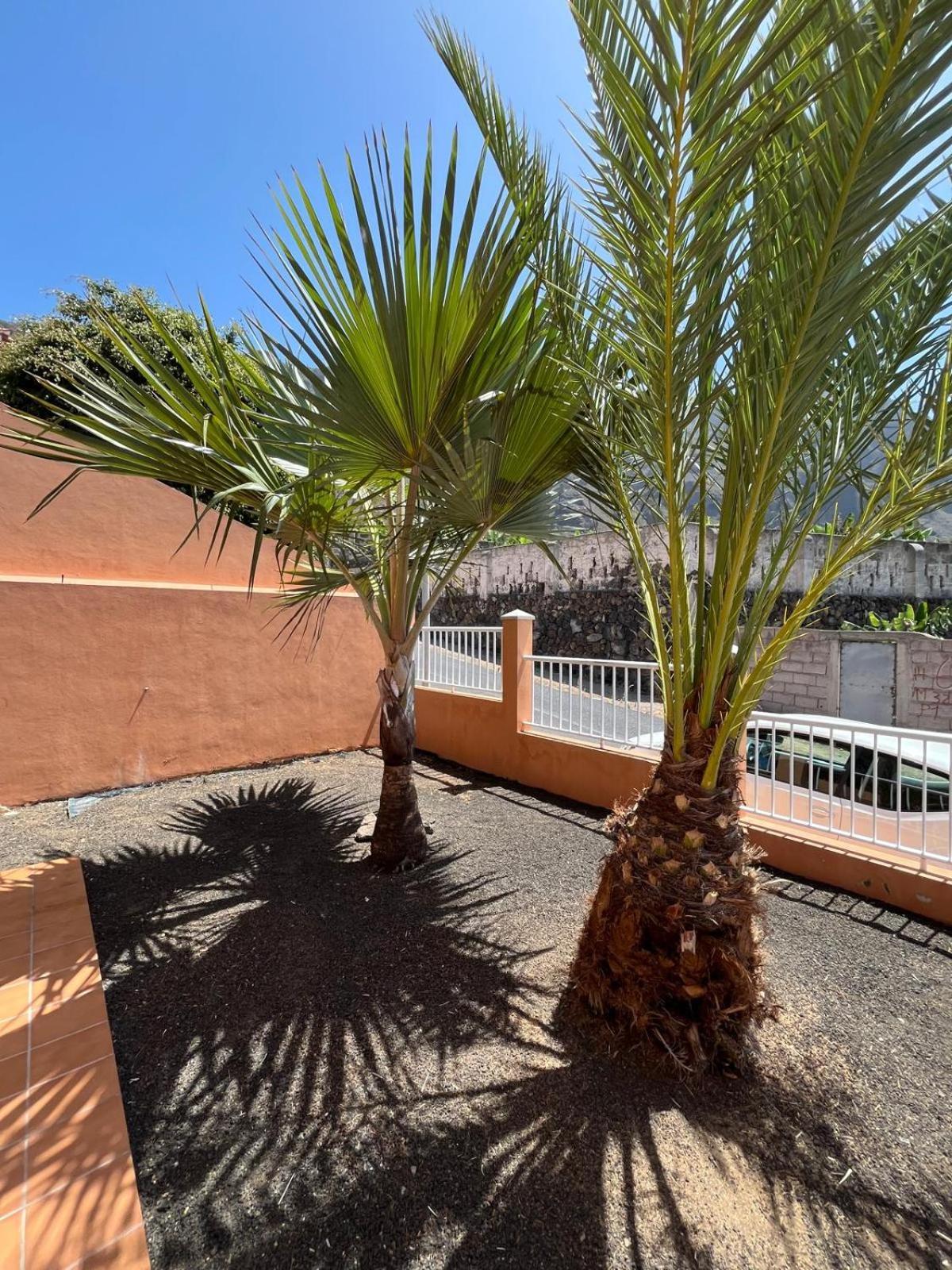 Caleta de Interián Chalet Piscina Privada Max 26º Jardin, Tranquilidad מראה חיצוני תמונה